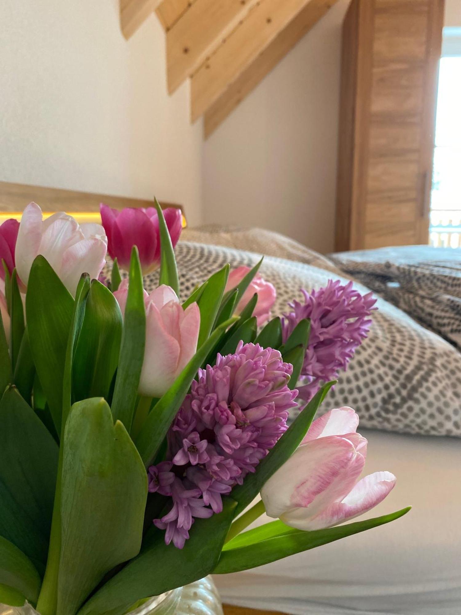 Ferienwohnung Apfelkroenchen Spiegelberg Ngoại thất bức ảnh